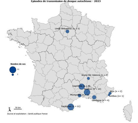 Bilan à la hausse des cas autochtones de dengue en  France hexagonale et en Europe en 2023 | COVID-19 : Le Jour d'après et la biodiversité | Scoop.it