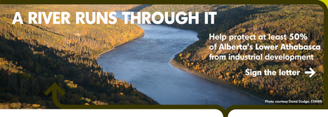 Home | The Big Wild | Digital Delights for Learners | Scoop.it