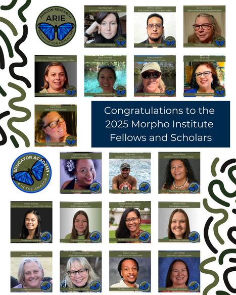 Morpho awards $38K in Teacher Scholarships in 2025! | RAINFOREST EXPLORER | Scoop.it