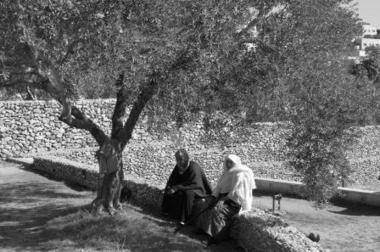Territoires palestiniens : Les femmes, moteur de la vie &eacute;conomique rurale | CIHEAM Press Review | Scoop.it