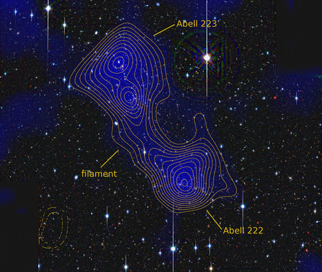 Dark matter and Nerve Cells - the connecting threads | Science News | Scoop.it