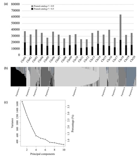 Original Paper in Plant Genome &bull; B&eacute;langer/Belzile Labs 2021&nbsp;&bull; Mapping of partial resistance to Phytophthora sojae in soybean PIs using whole‐genome sequencing reveals a major QTL&nbsp; | Originals | Scoop.it