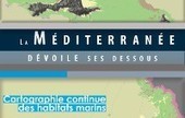 Découvrez le guide du littoral méditerranéen: "Les dessous de la mer" | Biodiversité - @ZEHUB on Twitter | Scoop.it