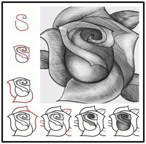 How to Draw a Rosebud