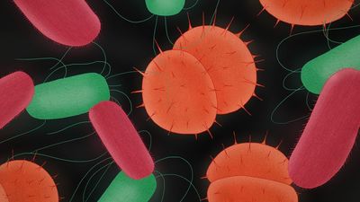 Superbugs are on track to kill 10 million people by 2050 if things don’t change—fast