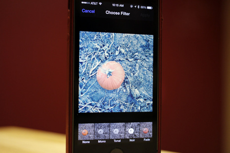 Remove a filter from a photo in iOS 7 | Image Effects, Filters, Masks and Other Image Processing Methods | Scoop.it