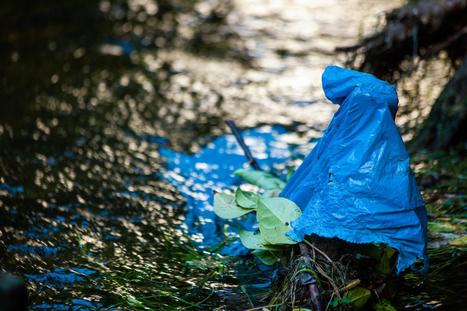 Microplastics cause students to create plastic bag ban petition – The Appalachian | Industry 411 - Waste Management | Scoop.it
