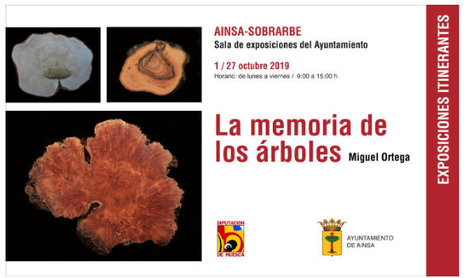 Exposition sur la mémoire des arbres à Ainsa jusqu'au 27 octobre | Vallées d'Aure & Louron - Pyrénées | Scoop.it