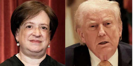 Scathing dissent unravels Supreme Court claim Trump wasn't racial using his own remarks - Raw Story | Backstabber Watch | Scoop.it