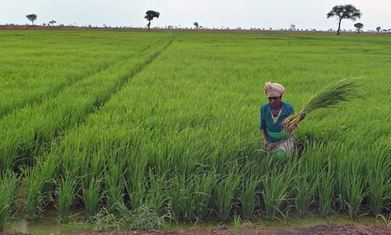 &pound;600m of UK aid fuelling corporate scramble for Africa, claim critics | Food & Nutrition Security in East Africa | Scoop.it