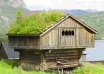 Le toit végétal - dossier complet | Build Green, pour un habitat écologique | Scoop.it