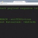 BREACH : Une nouvelle technique pirate pour déchiffrer des données HTTPS en 30 secondes ! | Libertés Numériques | Scoop.it