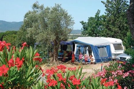 Le business florissant  des campings | Cabinet Alliances | Scoop.it