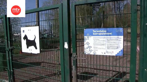 Mitä koirapuistossa pitää muistaa? | MTV Uutiset | 1Uutiset - Lukemisen tähden | Scoop.it