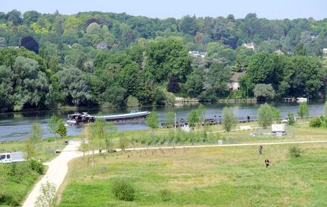 Yvelines : un nouveau poumon vert sur les bords de Seine  à Carrières-sous-Poissy | Les Colocs du jardin | Scoop.it