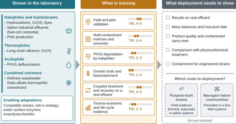 From capability to deployment: closing the translational gap in extremophile-mediated bioremediation | Amb | RMH | Scoop.it