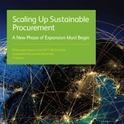 Corporate Procurement Officers Say Sustainability Now Key Criteria For Purchases | Supply chain News and trends | Scoop.it