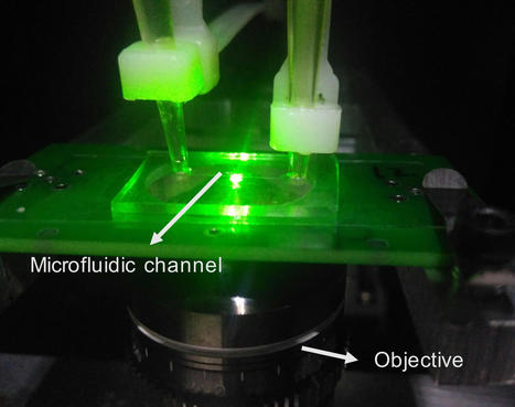 MIT Quantum COVID Sensor May Offer Faster, Cheaper, and More Accurate Detection of SARS-CoV-2 | Amazing Science | Scoop.it