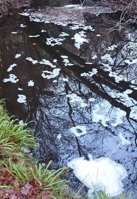 Environnement - Pollution : une entreprise jug&eacute;e responsable de rejets industriels dans un cours d'eau de Corr&egrave;ze /10.01.2017 | Pollution accidentelle des eaux (+ d&eacute;chets plastiques) | Scoop.it