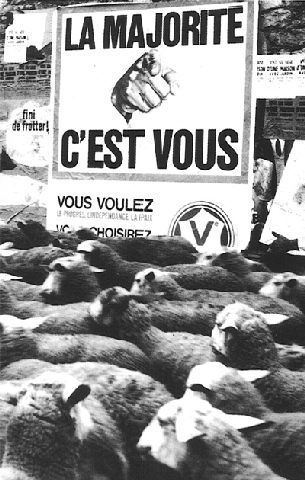 La bulle de l'éradication des loups hybrides a fait pffff | Pastoralisme Ours Loups Lynx | Scoop.it