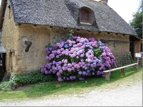 Giant bouquet | 1001 Gardens ideas ! | Scoop.it