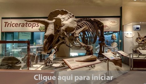 Tour virtual  ao museu de história natural, Smithsonian | DE TUDO UM POUCO | Scoop.it