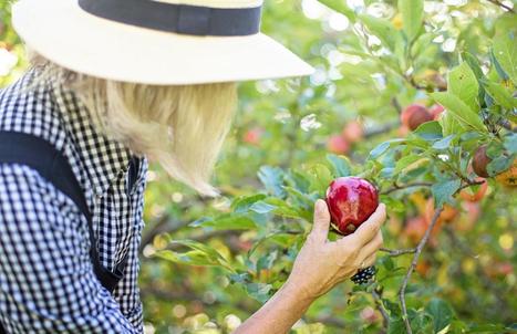 Parma to grow first food forest in Italy | TheMayor.EU | Energy Transition in Europe | www.energy-cities.eu | Scoop.it