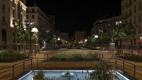 Lyon baisse l'éclairage public pour créer une « trame noire » | Biodiversité | Scoop.it