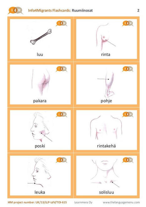 430 Finnish Vocabs ideas | finnish words, learn finnish, finnish language | A1Uutiset | Scoop.it