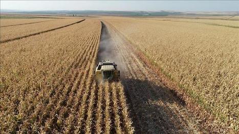 Turkey should become 'smart-agriculture' country - Latest News | CIHEAM Press Review | Scoop.it