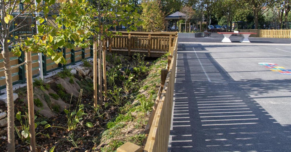 Les multiples enjeux de la végétalisation des cours d’école