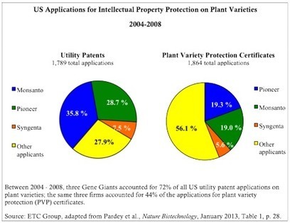 Gene Giants Seek "Philanthrogopoly" -  6 multinational Gene Giants control the direction of agriculture worldwide. | YOUR FOOD, YOUR ENVIRONMENT, YOUR HEALTH: #Biotech #GMOs #Pesticides #Chemicals #FactoryFarms #CAFOs #BigFood | Scoop.it