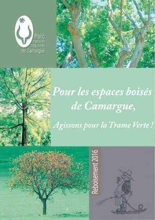 Reboisement 2016 - "Pour les espaces boisés de Camargue, agissons pour la trame verte !" | Camargue Nature | Scoop.it