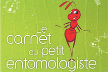 À la découverte du monde des Arachnides à Micropolis, Aveyron (12) | Variétés entomologiques | Scoop.it