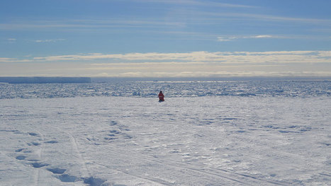 Scientists’ brains shrank a bit after an extended stay in Antarctica | Antarctica | Scoop.it