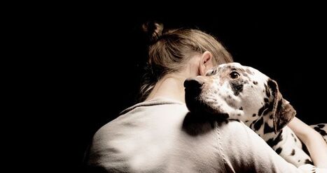 Les animaux et nous : imaginer, connaître, comprendre l’animal | Insect Archive | Scoop.it