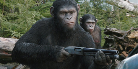 Les singes pourraient-ils un jour dominer la planète? | What If? | Scoop.it