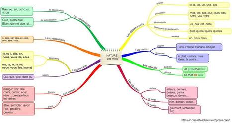 Nature et fonction en cartes mentales | Classemapping | Scoop.it