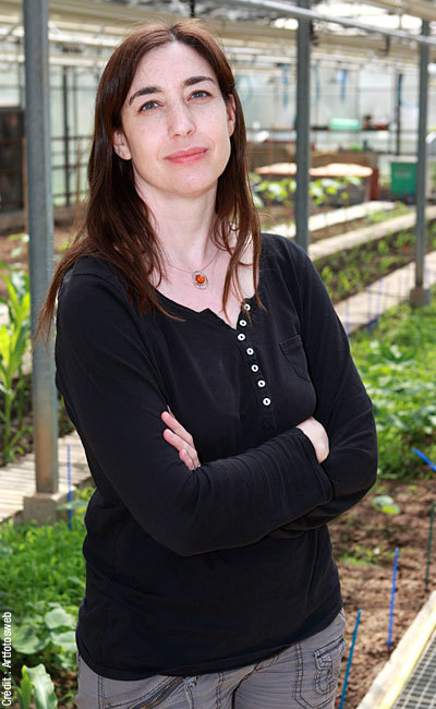 Le Grand Prix scientifique de la Fondation Louis D. de l'Institut de France 2017 décerné à Tatiana Giraud | Life Sciences Université Paris-Saclay | Scoop.it