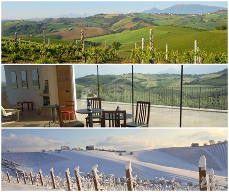 PS Winery Cantina: Paolini&Stanford Natural Wines Le Marche | Good Things From Italy - Le Cose Buone d'Italia | Scoop.it