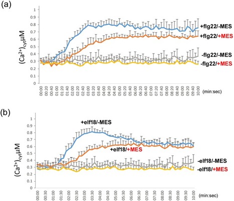 Scientific Reports: Stable pH Suppresses Defense Signaling and is the Key to Enhance Agrobacterium -Mediated Transient Expression in Arabidopsis Seedlings (2018) | Plants and Microbes | Scoop.it