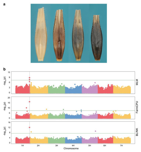 Original Paper in Environ Entomol • Fourni...
