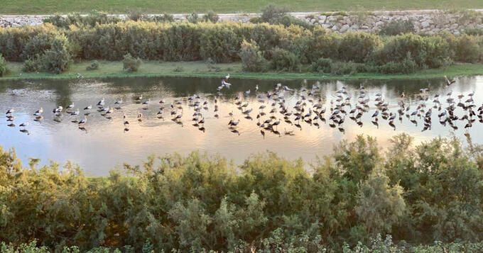 L7NBHAahwLvaGJnSn7_8TTl72eJkfbmt4t8yenIm