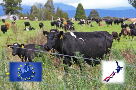L'UE et la Nouvelle-Zélande ont signé leur accord de libre-échange | Lait de Normandie... et d'ailleurs | Scoop.it