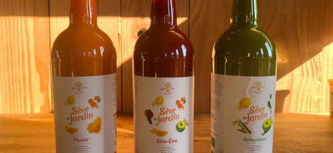 Le premier bienfait des jus de l&eacute;gumes | Local delivery for Gene Directed Enzyme Prodrug Therapy | Scoop.it
