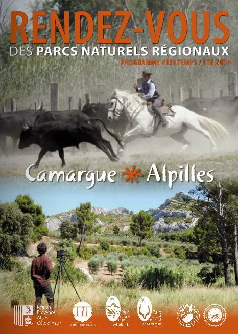 "Rendez-vous des Parcs naturels régionaux Alpilles-Camargue" Agenda avril-septembre 2014 | Variétés entomologiques | Scoop.it