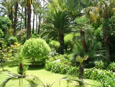 The Majorelle Garden in Marrakech | 1001 Gardens ideas ! | Scoop.it
