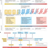 from Flow Cytometry to Cytomics