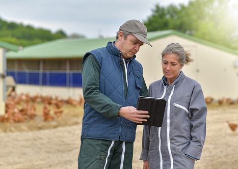 Foncier et financement : les deux freins principaux &agrave; l'installation agricole, d'apr&egrave;s le barom&egrave;tre de FEVE | Revue de presse &eacute;conomique du Sud Touraine | Scoop.it
