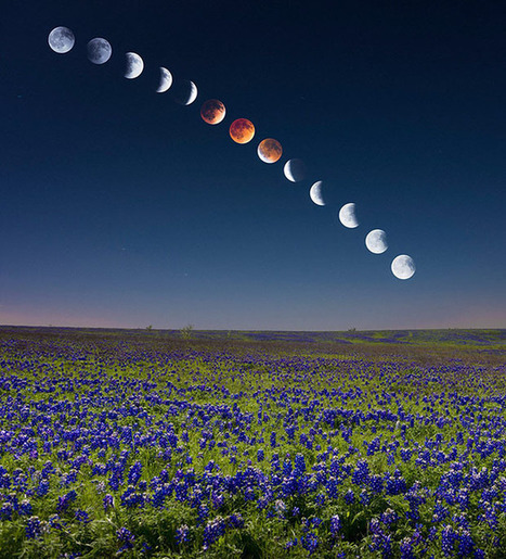How I Shot the Blood Moon Lunar Eclipse Rising Over a Flowery Field | Mobile Photography | Scoop.it
